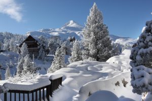 You are currently viewing Extreme Cold Forecast for Year End
