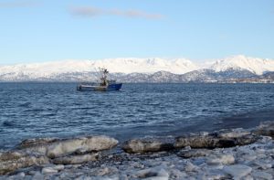 homer car shipping