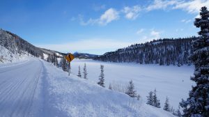 Read more about the article Alaska Seeks Disaster Declaration
