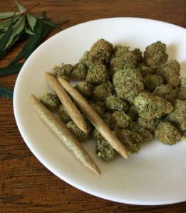 Read more about the article Alaska: The First State to Legalize On-Site Marijuana Consumption!