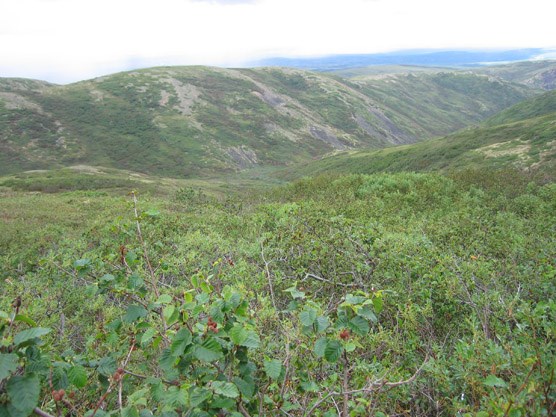 You are currently viewing Chris McCandless Bus Visitors Rescued