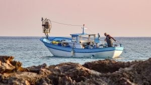 Read more about the article The Last Frontier Salmon Harvest for 2021 is Expected to be a Big One