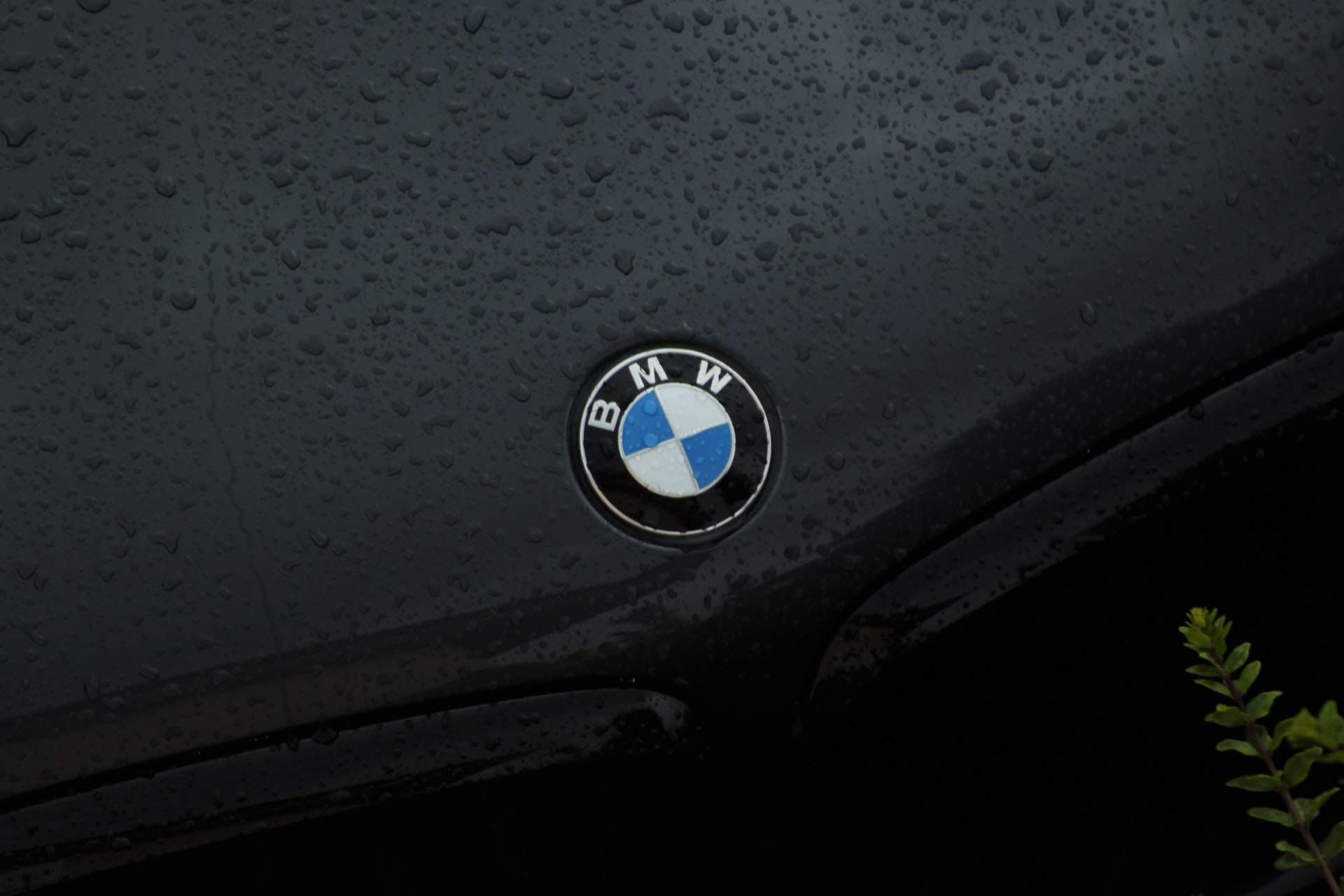 You are currently viewing BMW 4 Series Gran Coupe Stands Out and Wows Enthusiasts