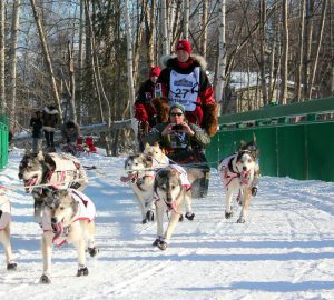 Read more about the article Iditarod Asks for COVID Compliant-Participants for Third Year in a Row