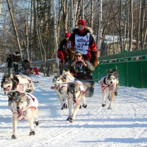 Iditarod Asks for COVID Compliant-Participants for Third Year in a Row