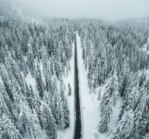 Read more about the article Guide to Shipping Your Car to Alaska