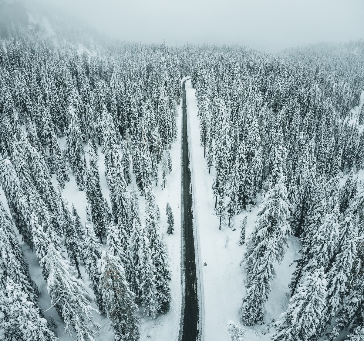 You are currently viewing Guide to Shipping Your Car to Alaska