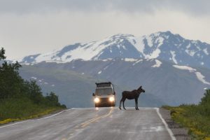 Read more about the article Community Protests Delay Moose Pass Highway Project