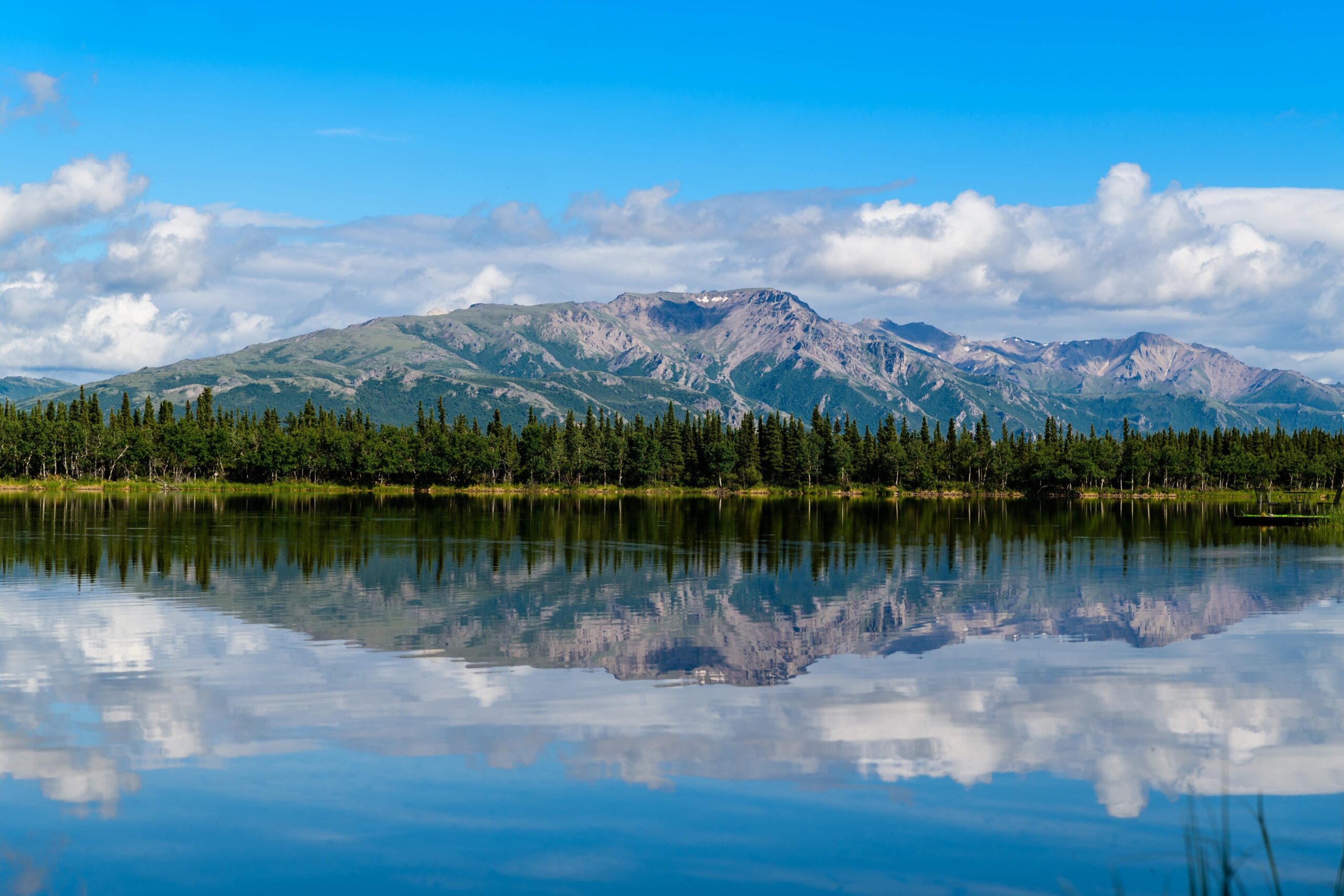You are currently viewing Driving in Alaska