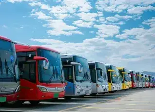 Buses (all type), Heavy Hauling Vehicles