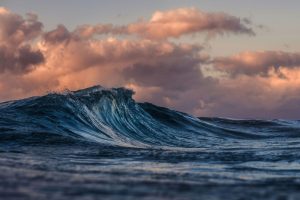 Read more about the article Russian Earthquake Causes Tsunami in Pacific Ocean